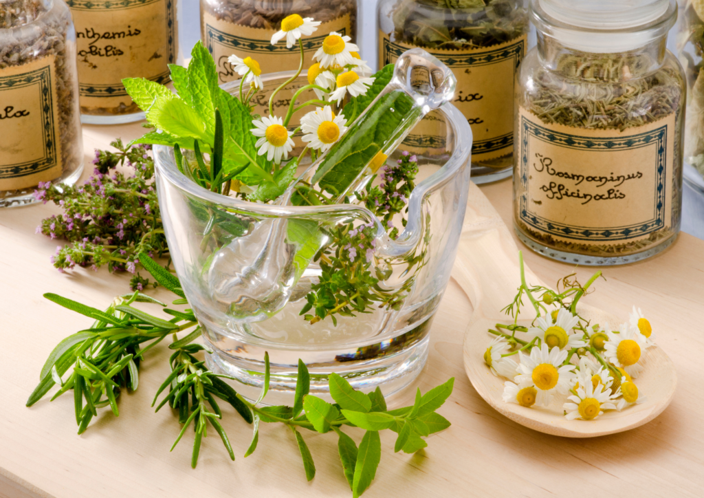 Phytothérapie : 20 plantes pour apaiser troubles féminins