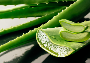 gel d’aloe vera
